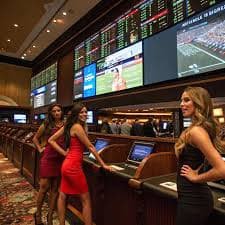 Tampilan sportsbook dan live casino qqcuan di perangkat mobile